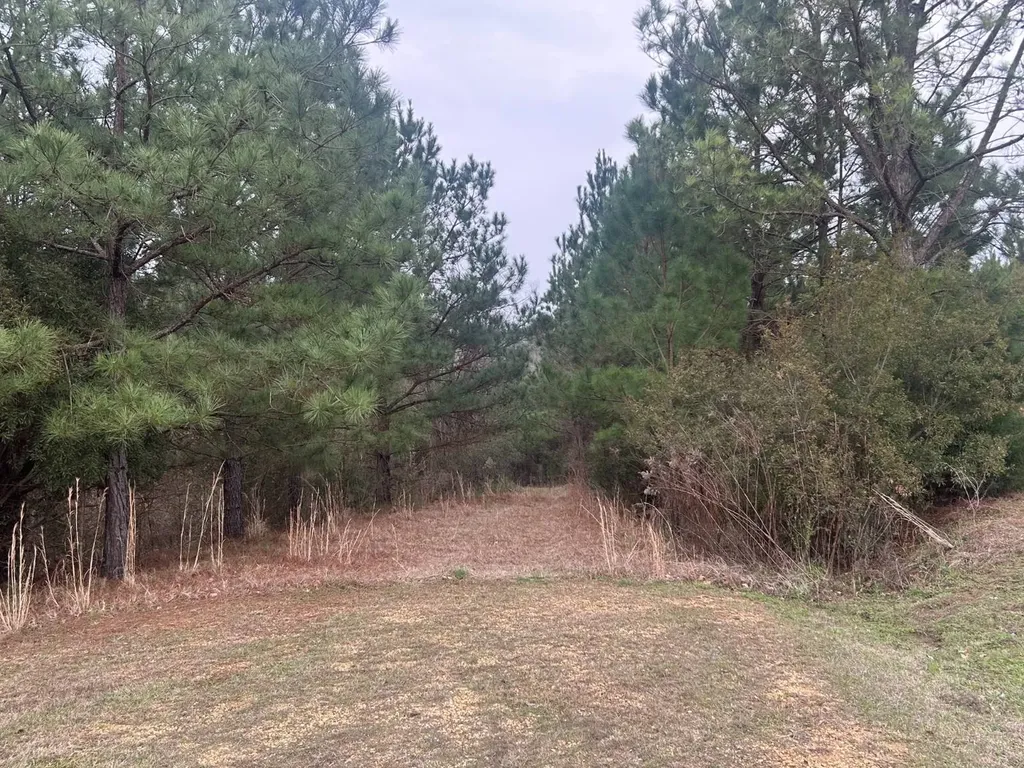 0 County Road 29 Alberta AL 36720