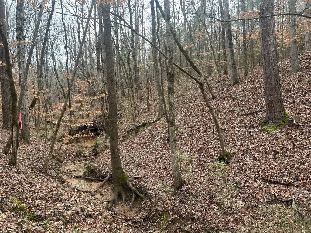 0 County Road 29 Alberta AL 36720