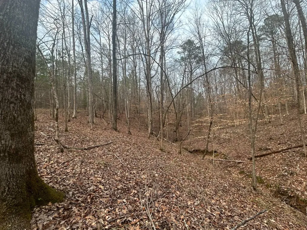 0 County Road 29 Alberta AL 36720