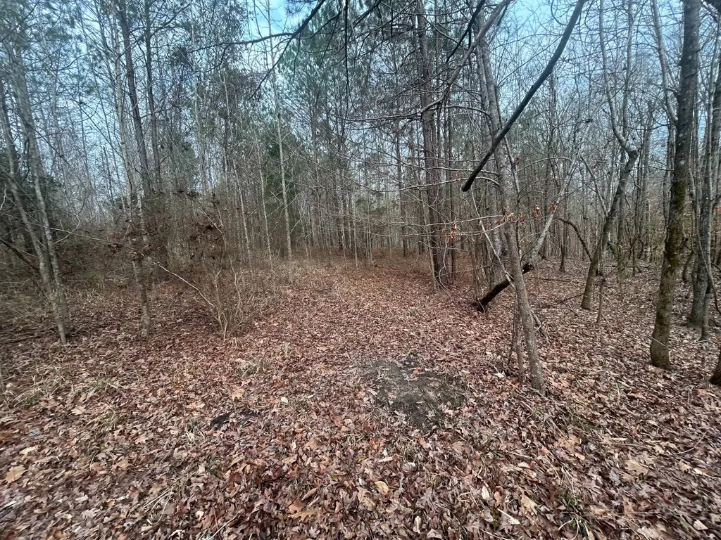 0 County Road 29 Alberta AL 36720