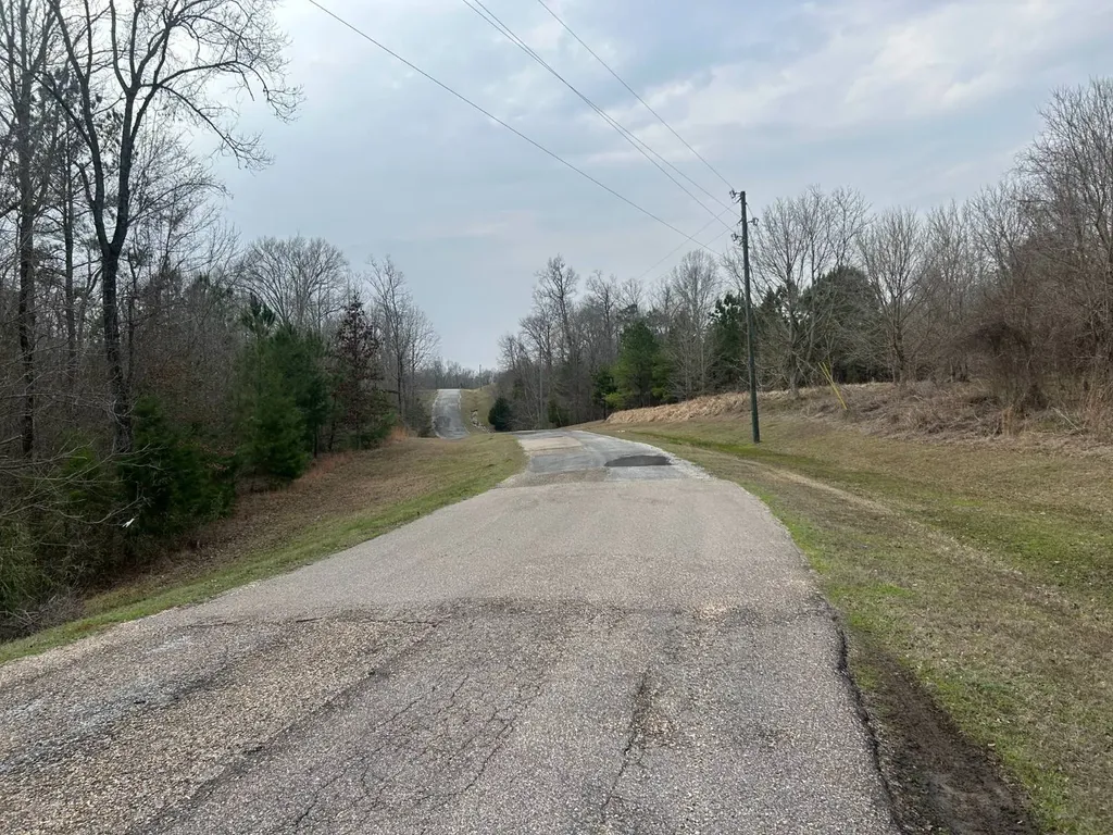 0 County Road 29 Alberta AL 36720