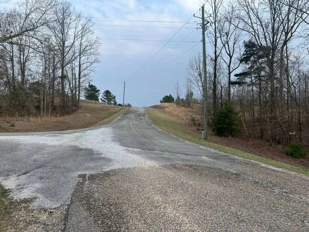 0 County Road 29 Alberta AL 36720