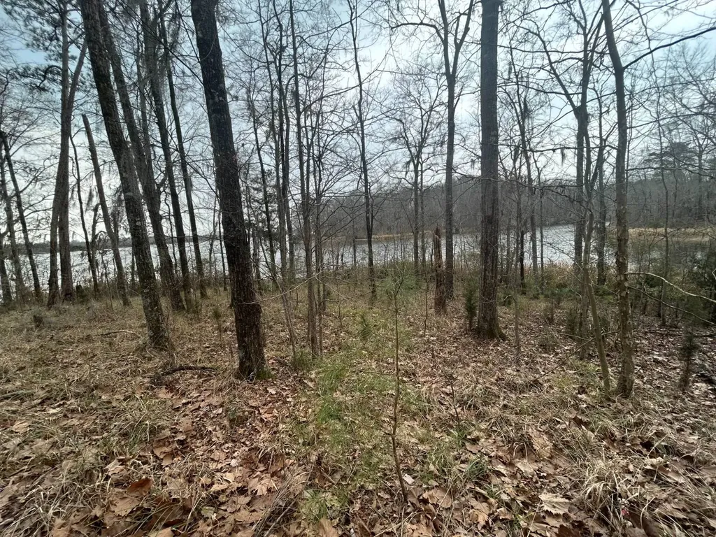 0 County Road 29 Alberta AL 36720