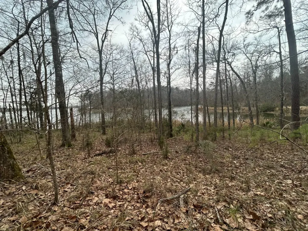 0 County Road 29 Alberta AL 36720