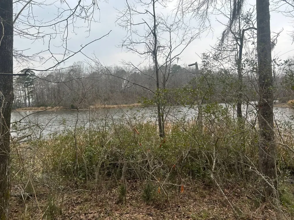 0 County Road 29 Alberta AL 36720