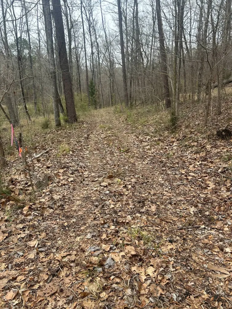 0 County Road 29 Alberta AL 36720