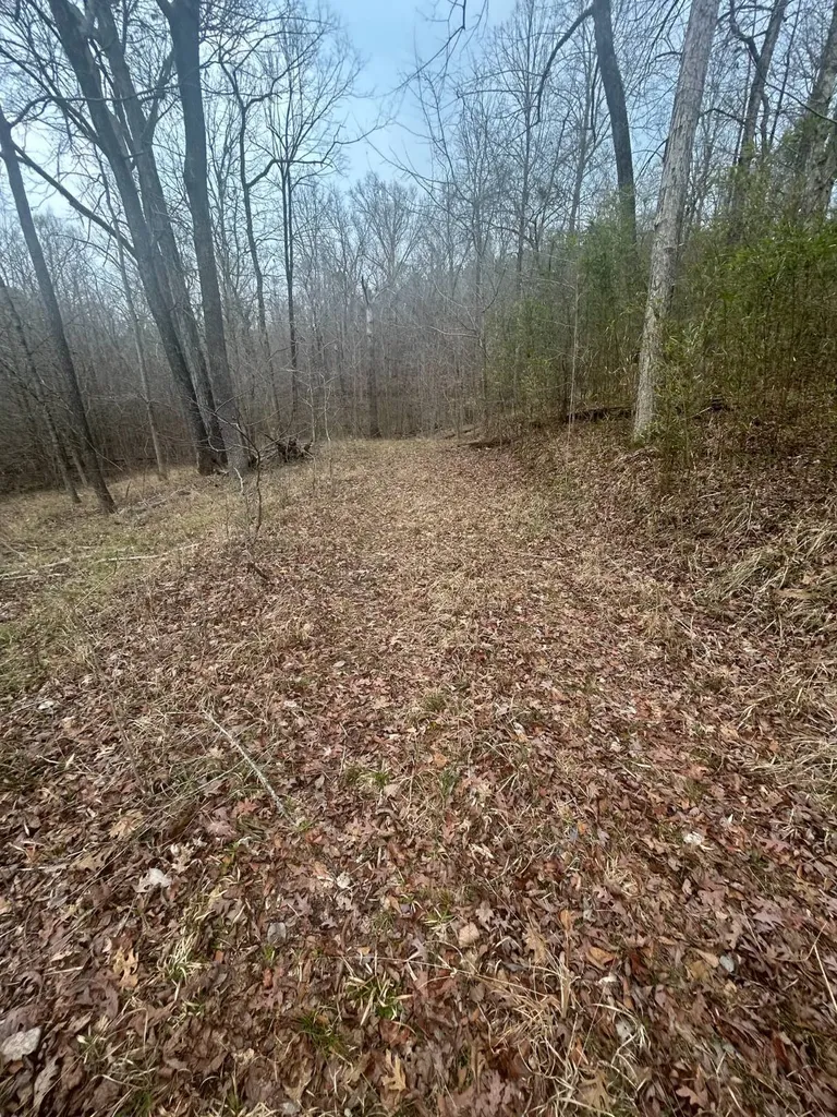 0 County Road 29 Alberta AL 36720