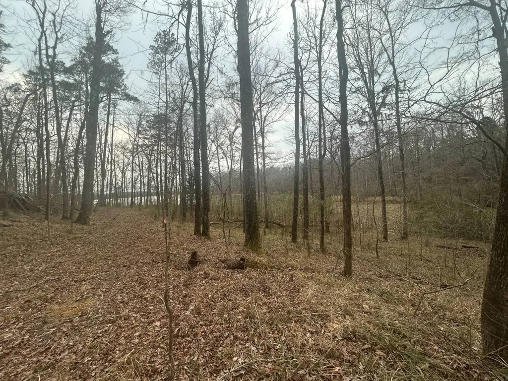 0 County Road 29 Alberta AL 36720