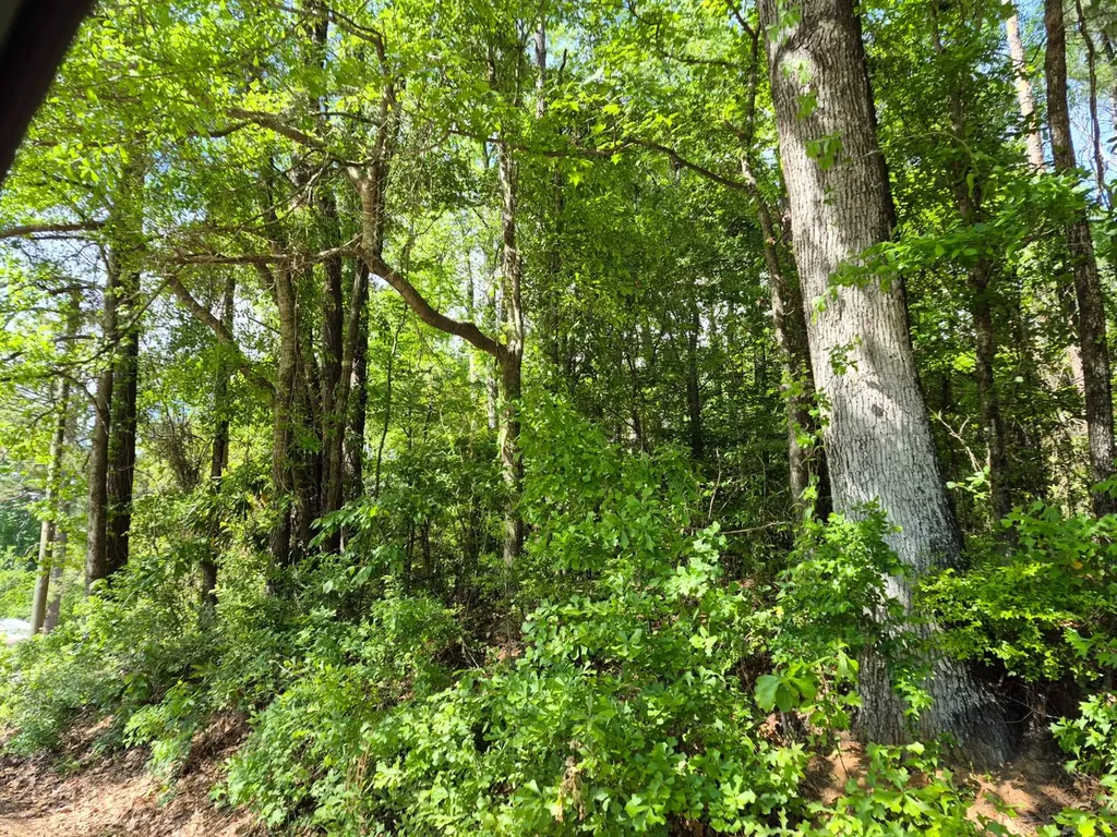 0 Duncan Drive Thomasville AL 36784