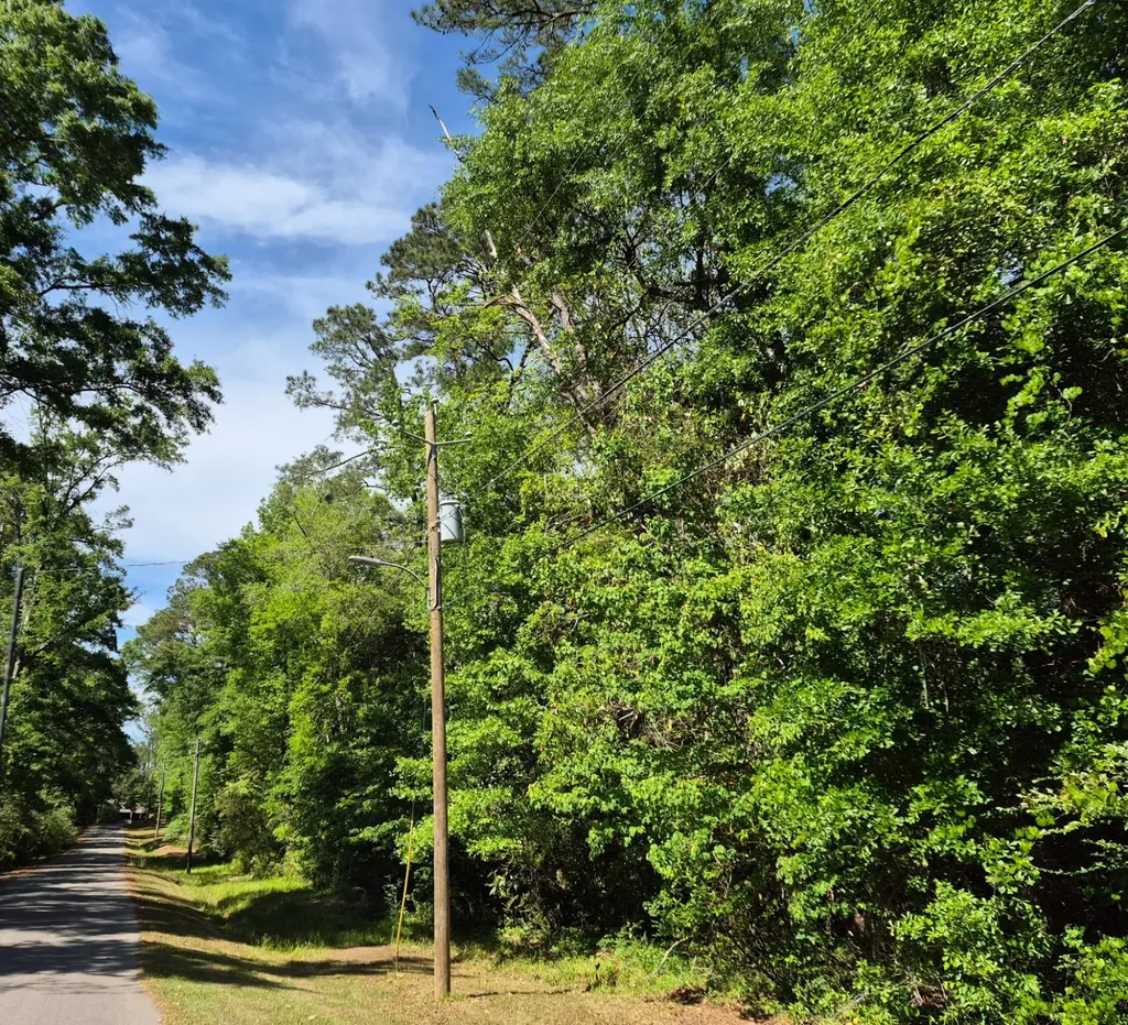 0 Duncan Drive Thomasville AL 36784