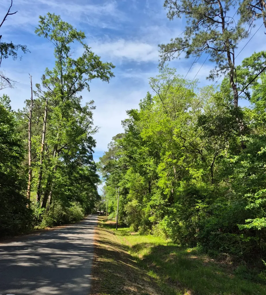 0 Duncan Drive Thomasville AL 36784