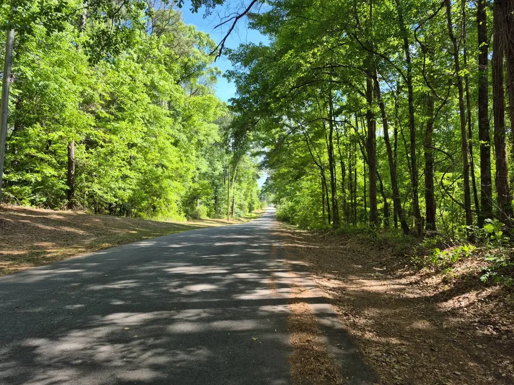 0 Duncan Drive Thomasville AL 36784