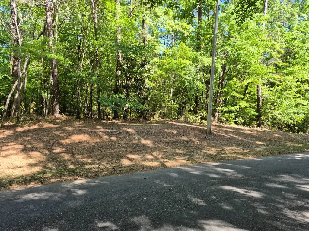 0 Duncan Drive Thomasville AL 36784
