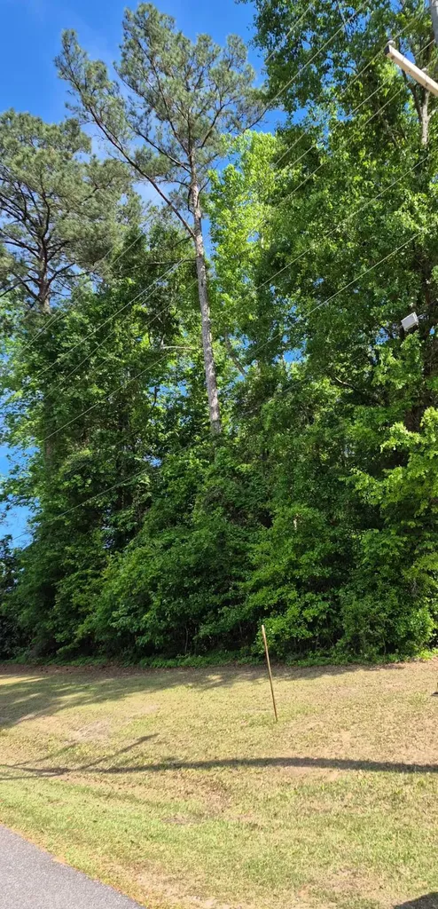 0 Duncan Drive Thomasville AL 36784