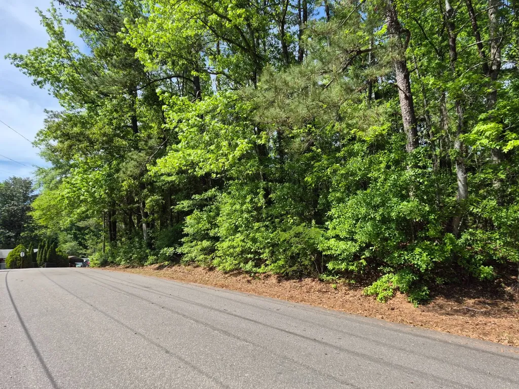 0 Duncan Drive Thomasville AL 36784