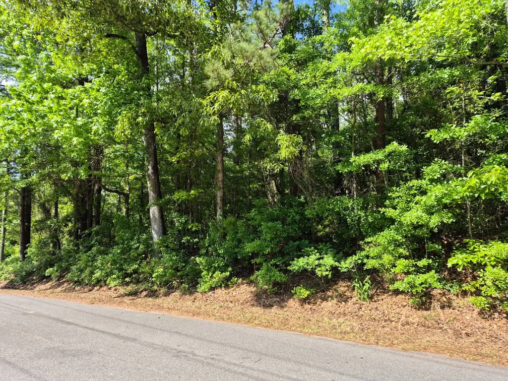0 Duncan Drive Thomasville AL 36784
