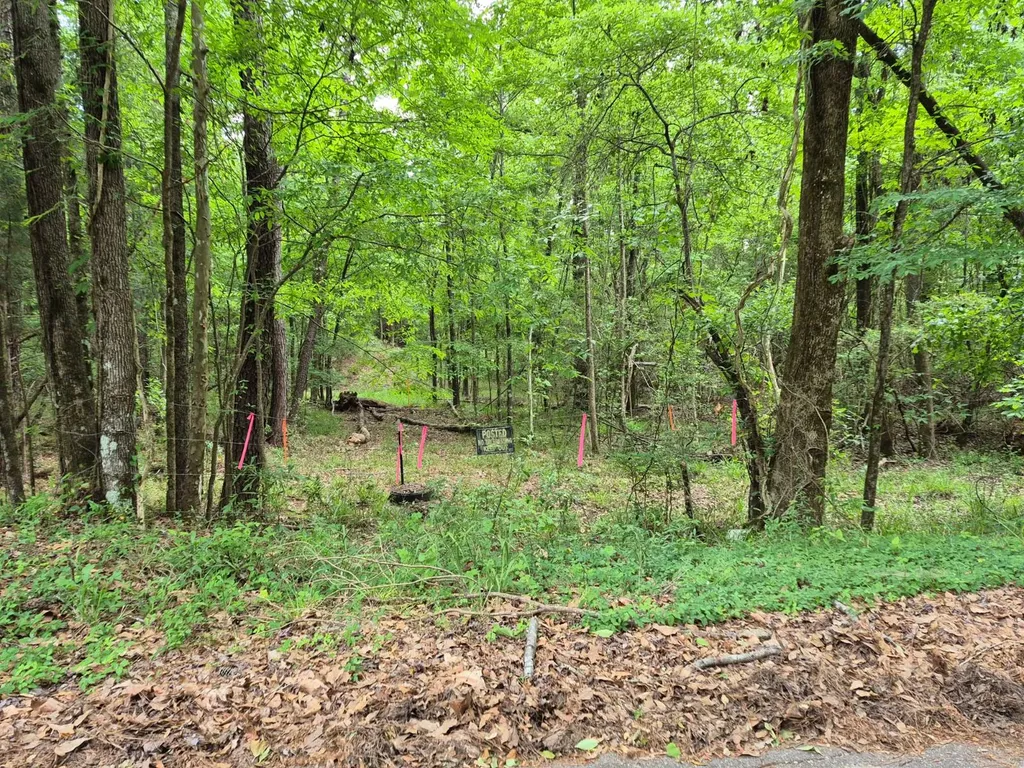 0 Dale Drive Jackson AL 36545