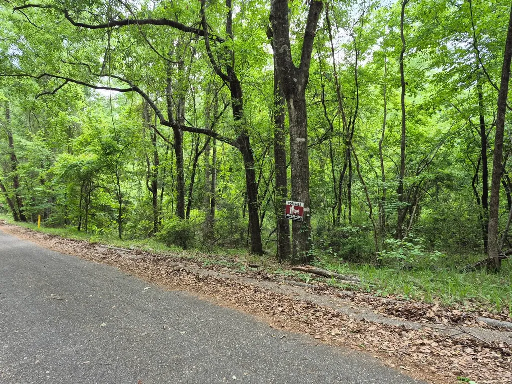 0 Dale Drive Jackson AL 36545