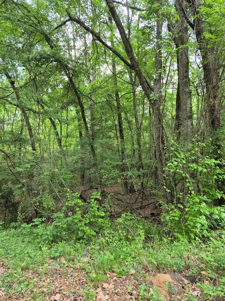 0 Dale Drive Jackson AL 36545