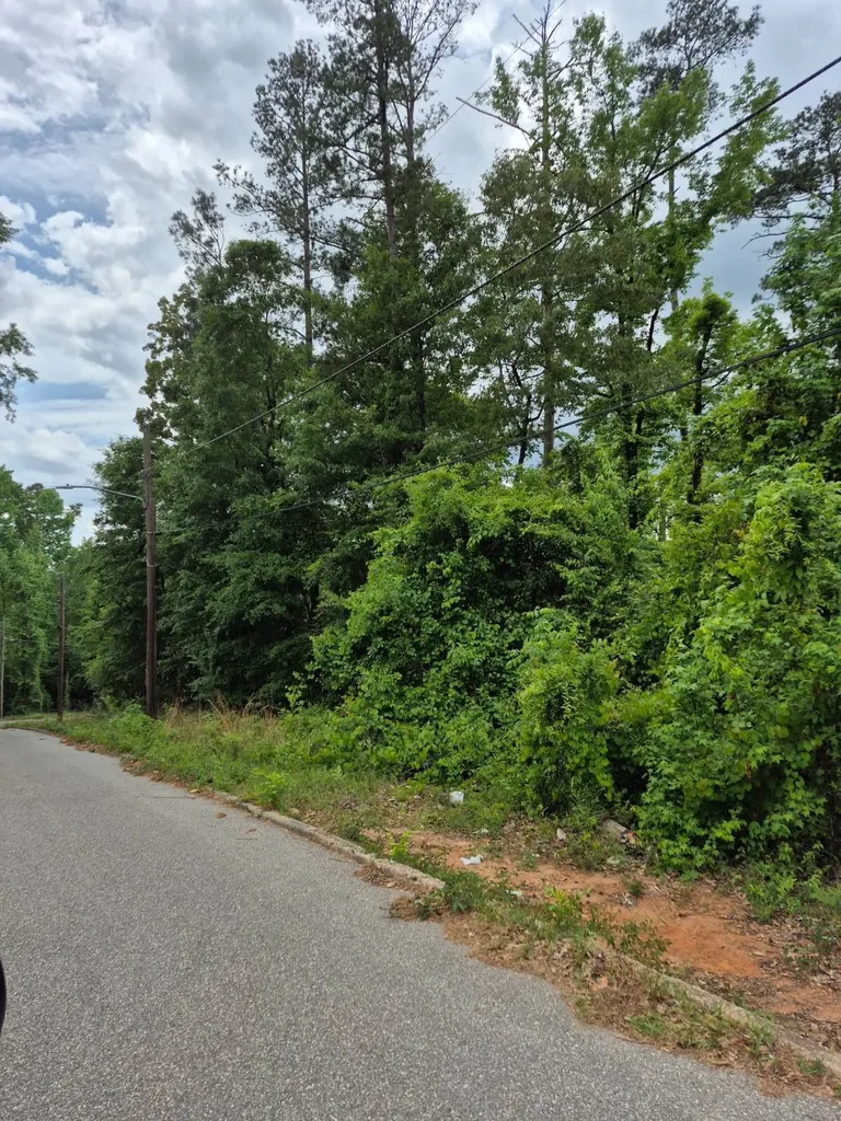 0 Dale Drive Jackson AL 36545