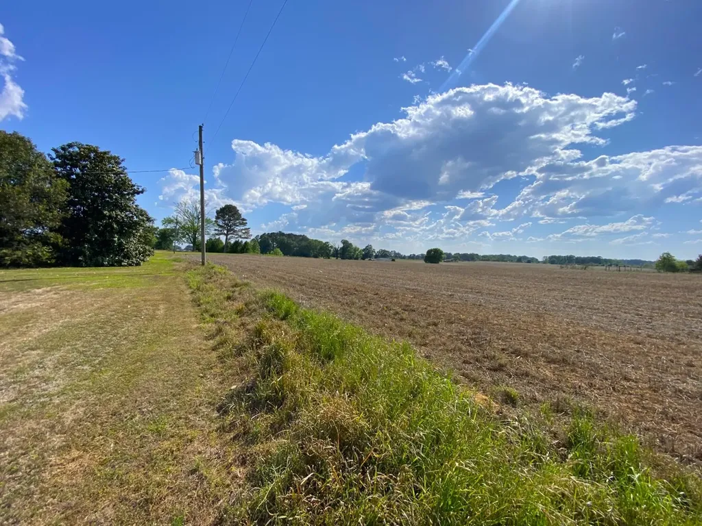 3184 Us-hwy 43 Fayette AL 35555