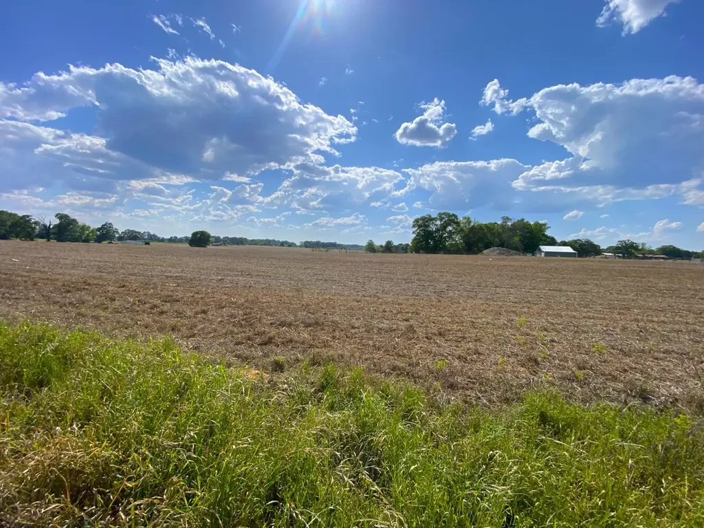 3184 Us-hwy 43 Fayette AL 35555