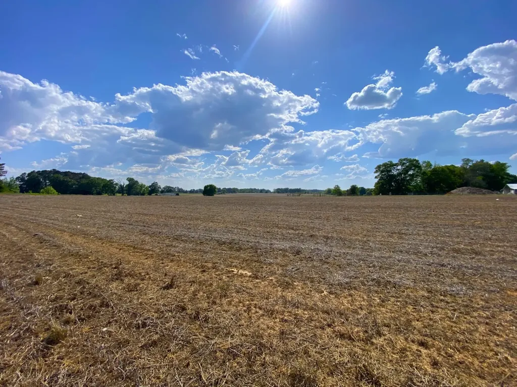 3184 Us-hwy 43 Fayette AL 35555