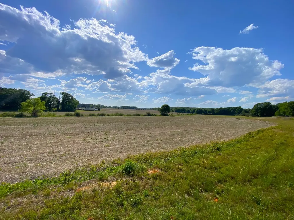3184 Us-hwy 43 Fayette AL 35555