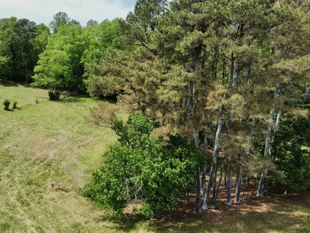 0 County Road 3160 Houston AL 35572
