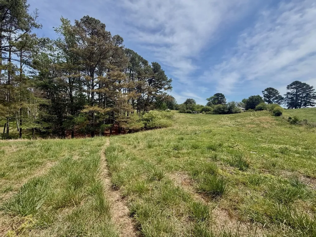 0 County Road 3160 Houston AL 35572