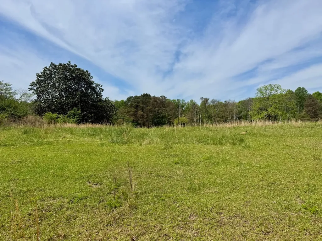 0 County Road 3160 Houston AL 35572