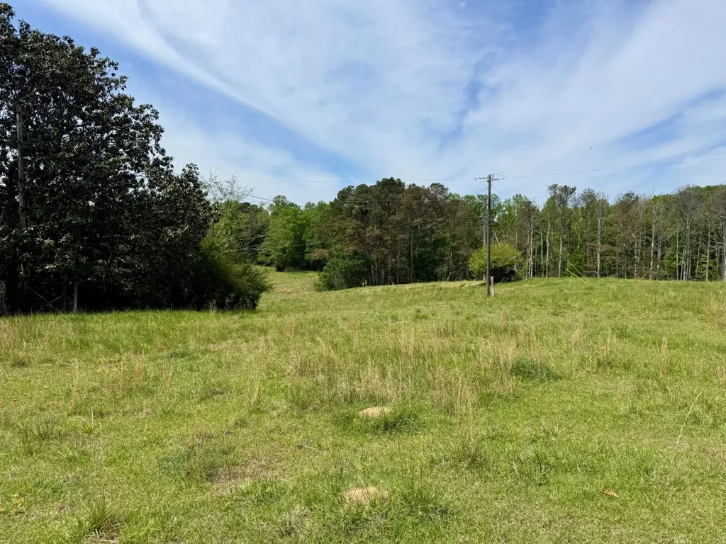 0 County Road 3160 Houston AL 35572