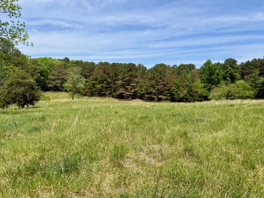 0 County Road 3160 Houston AL 35572