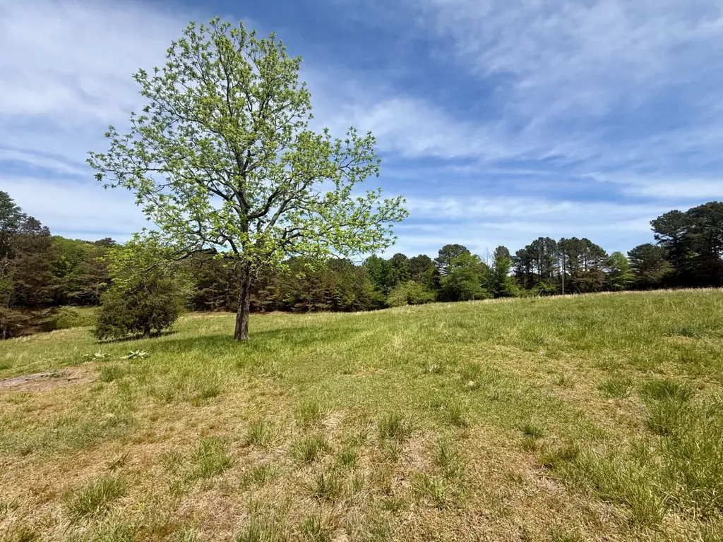 0 County Road 3160 Houston AL 35572