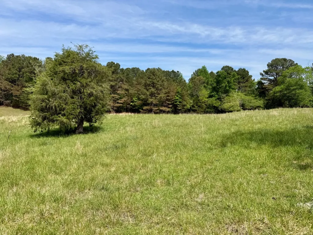 0 County Road 3160 Houston AL 35572