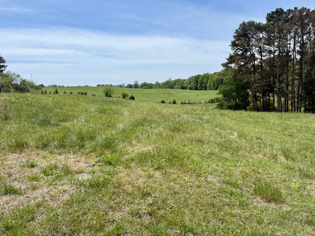 0 County Road 3160 Houston AL 35572