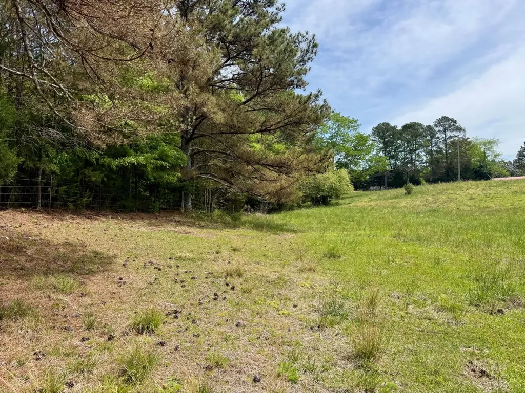 0 County Road 3160 Houston AL 35572