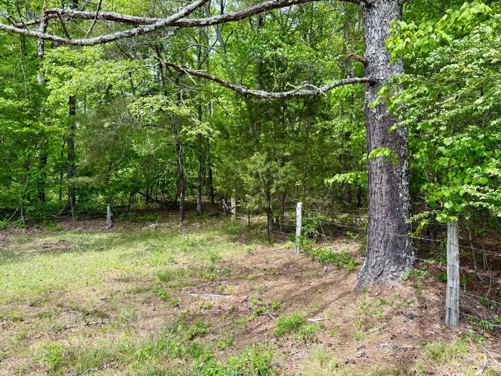 0 County Road 3160 Houston AL 35572