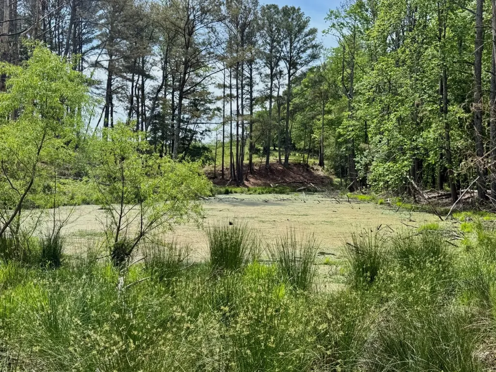 0 County Road 3160 Houston AL 35572