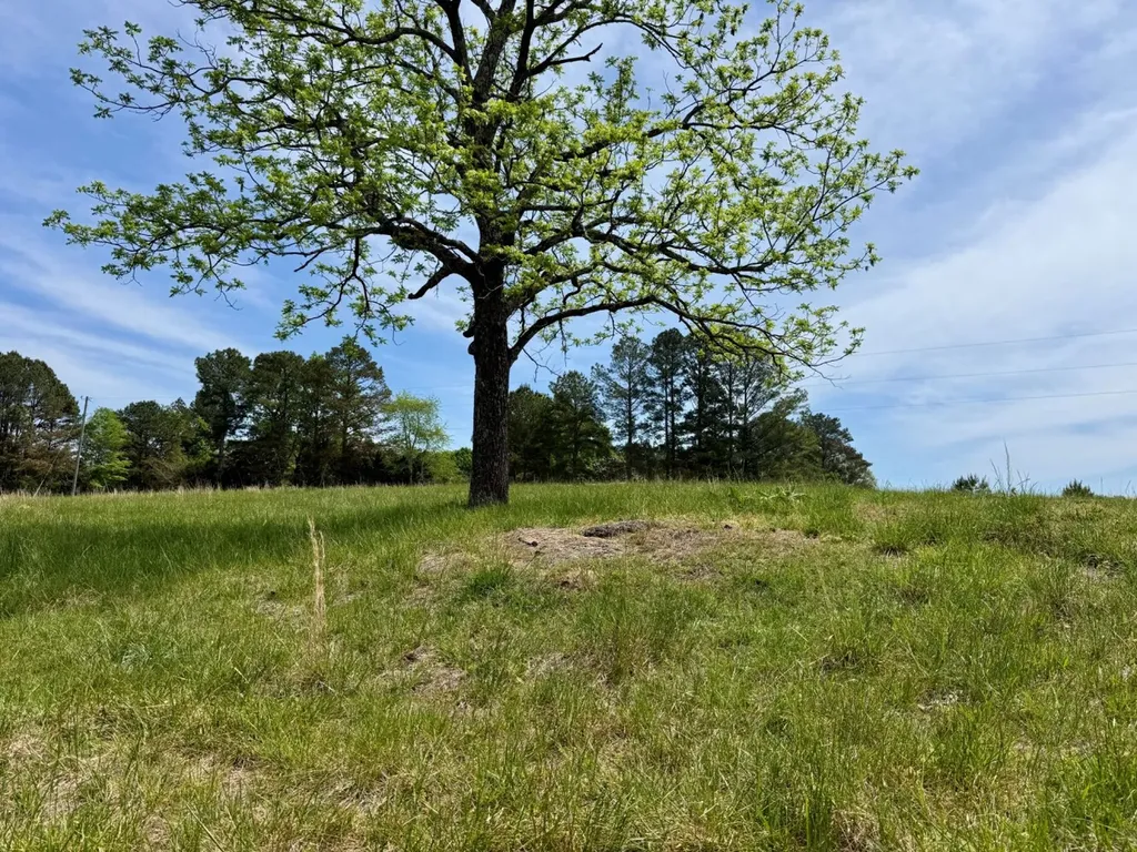 0 County Road 3160 Houston AL 35572