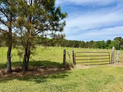 0 County Road 3160 Houston AL 35572