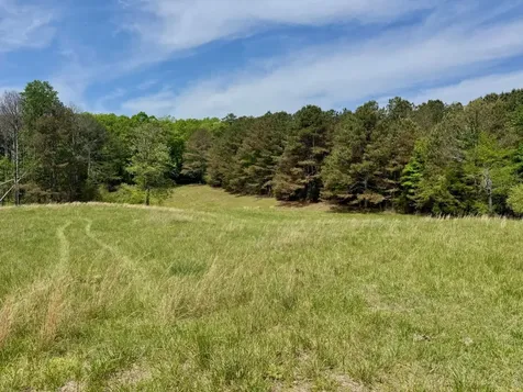 0 County Road 3160 Houston AL 35572