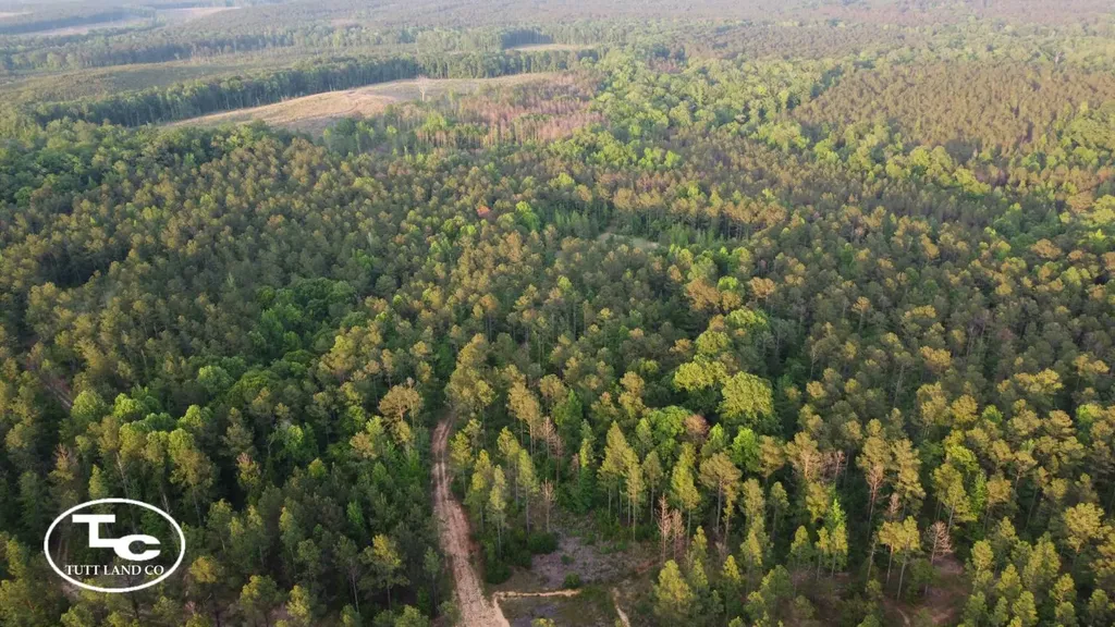 Tbd Bb Bragg Road York AL 36925