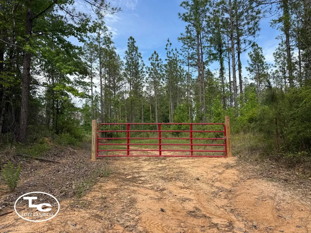 Tbd Bb Bragg Road York AL 36925