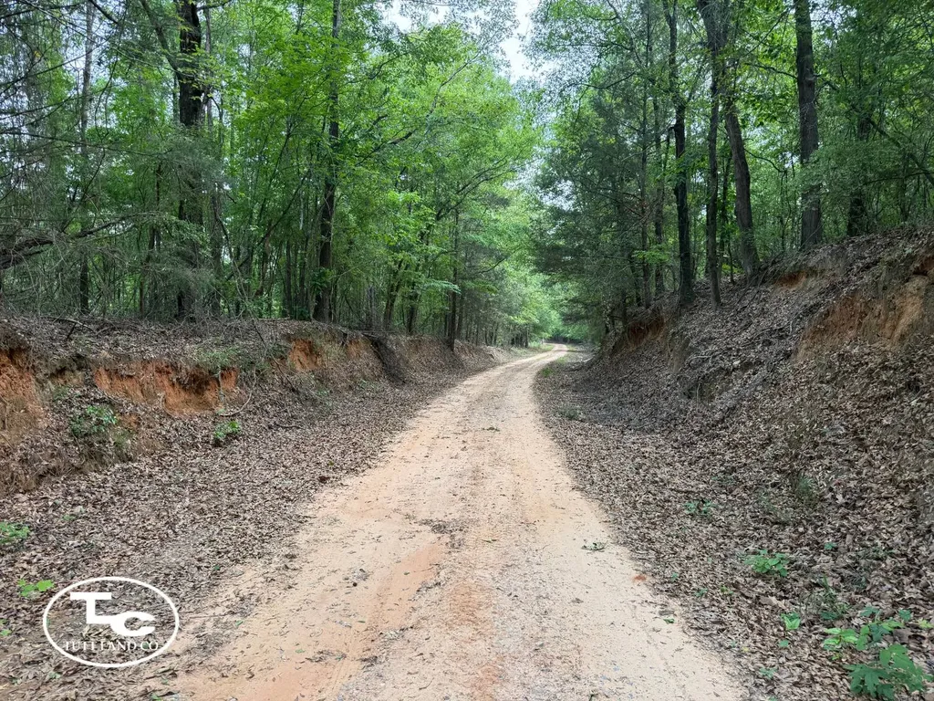 Tbd Bb Bragg Road York AL 36925