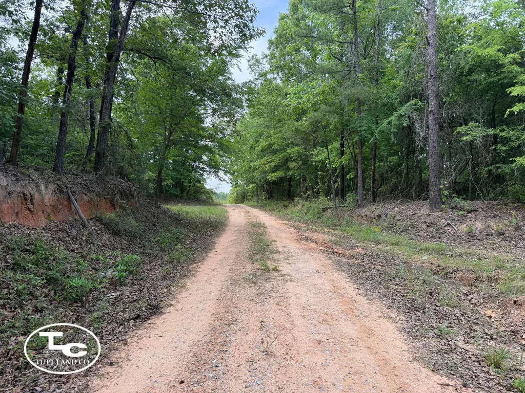 Tbd Bb Bragg Road York AL 36925