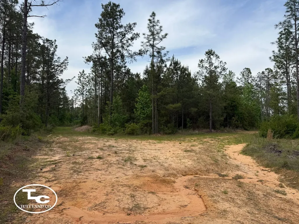 Tbd Bb Bragg Road York AL 36925