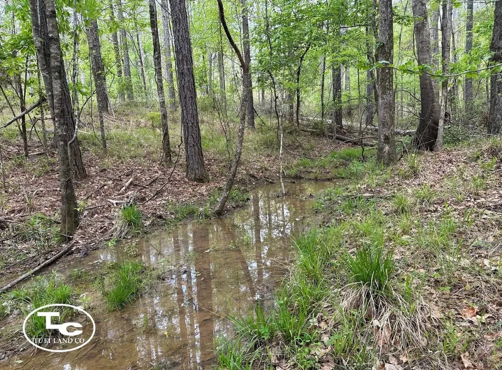 Tbd Bb Bragg Road York AL 36925