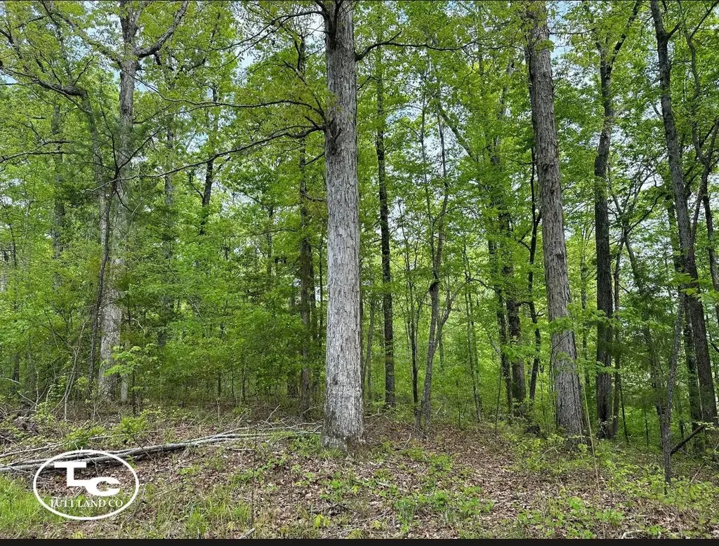 Tbd Bb Bragg Road York AL 36925