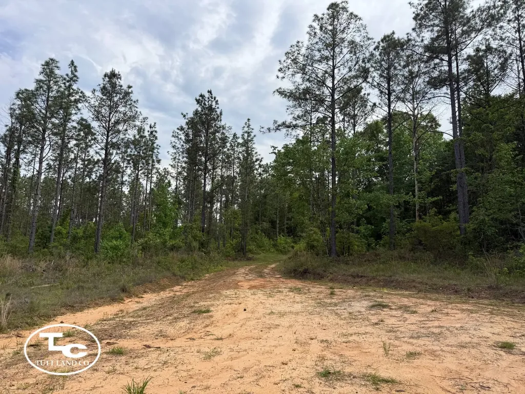 Tbd Bb Bragg Road York AL 36925